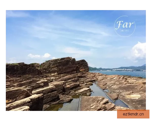 夏日星的海角：在璀璨星河下，邂逅一生所爱